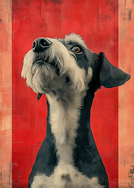 Dog looking up with textured background