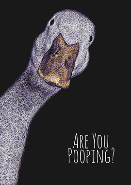 Funny Duck Asking 'Are You Pooping?'