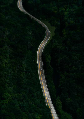 Winding Road Through Dark Forest
