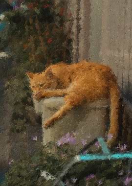 Orange Cat Lounging on a Ledge
