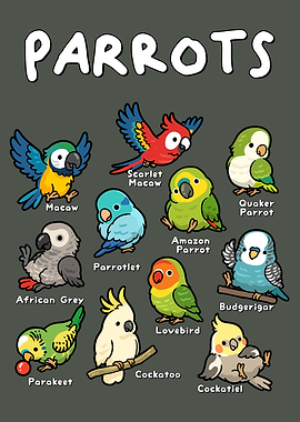 Cute Parrots