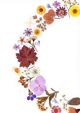 Pressed Flowers and Leaves Arrangement