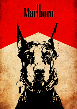 Marlboro Dog Portrait