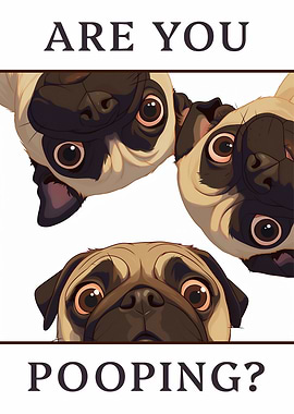 Pugs in Bathroom Asking 'Are You Pooping?' Dog