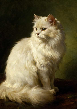 Elegant White Persian Cat Portrait