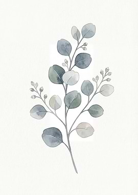 Watercolor Eucalyptus Branch