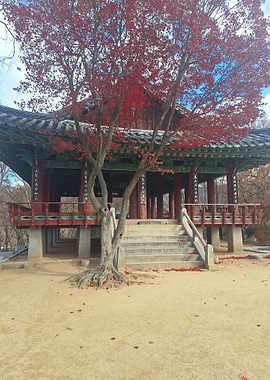 Autumn Pagoda with Red Maple Tree