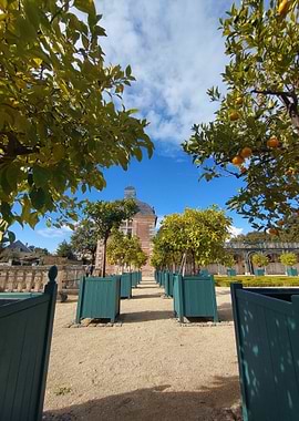 Orchard Garden with Classical Building