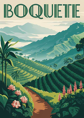 Boquiette Coffee Plantation Landscape