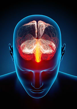 Human Brain with Glowing Neural Activity