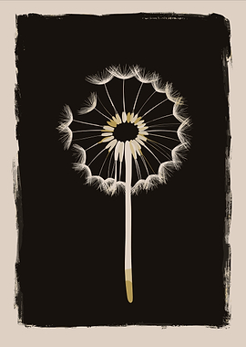 Dandelion Seed Head Illustration