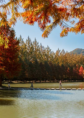 Autumn Lake in South Korea