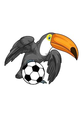 Toucan Soccer player Soccer