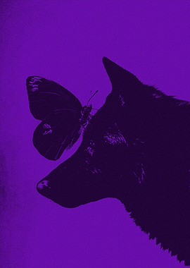 Butterfly and Dog's Grunge