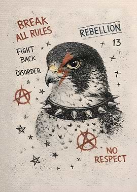 Rebellious Falcon with Punk Collar