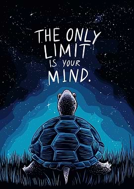 Turtle looking at the starry sky