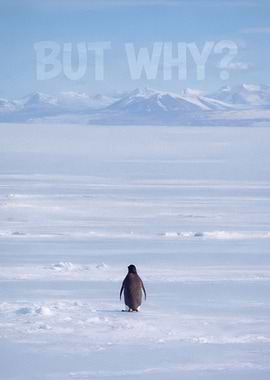 Nihilist Penguin - But Why?
