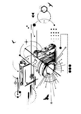 Geometric Camera and Birds