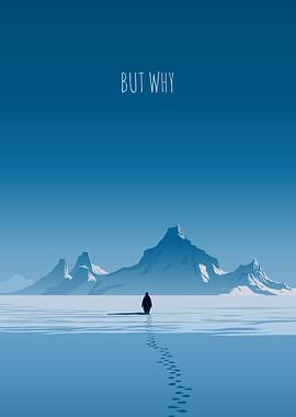 But Why Penguin in Antartica