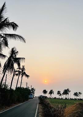 Sunset road with palm trees
