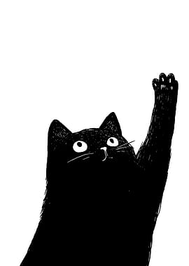 Black Cat Reaching Up