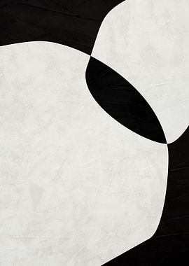 Abstract Black and White Shapes