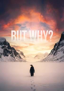 Nihilist Penguin - But Why?