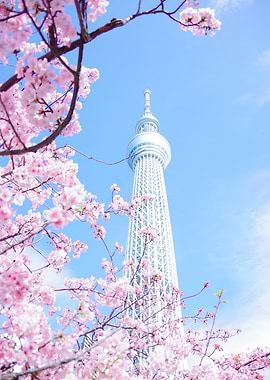 Tokyo Skytree with Cherry Blossoms