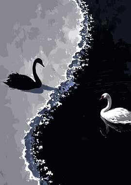 black and white swans couple