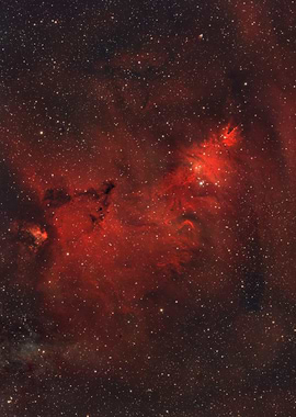 Cone Nebula and the Christmas Tree Cluster🎄NGC 2264