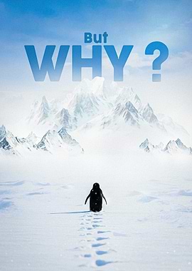 Viral Penguin wealking towards mountains