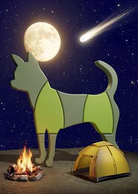 Big Chihuahua Camper