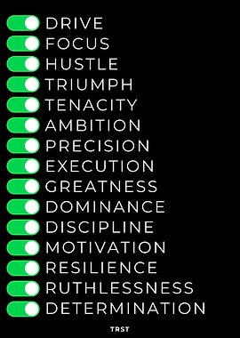 Mindset Switches – Discipline, Focus, Execution Motivational Mindset Poster