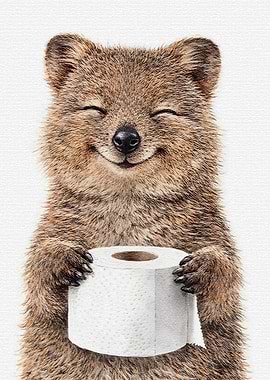 Quokka Holding Toilet Paper