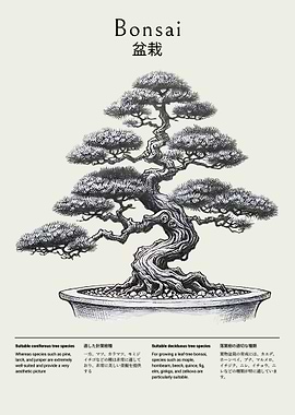 Detailed Bonsai Tree Illustration