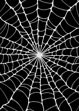 Black and White Spider Web