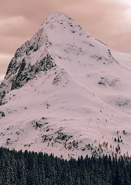 Snow-covered mountain peak with pine forest