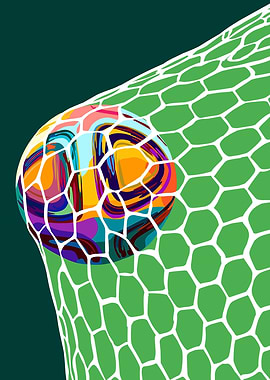 Colorful Soccer Ball in Net