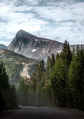 Mountain Road Through Forest