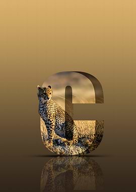 Cheetah on a Letter C