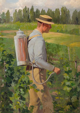 Farmer spraying crops in a vineyard