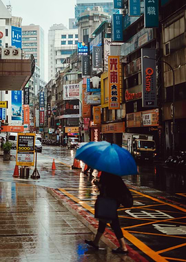 Person with umbrella in rainy city street