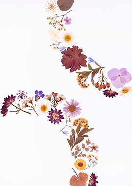Pressed Flowers Arrangement