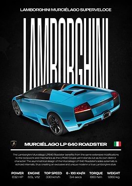 Lamborghini Murciélago LP 640 Roadster