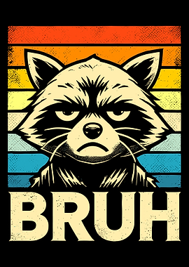 Bruh Raccoon Poster, Funny Grumpy Animal Wall Art, Retro Sunset Meme Print