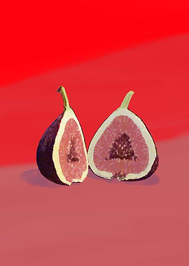 Two Halved Figs by Tatsuro Kiuchi
