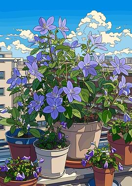 Balcony Flowers Under Blue Sky