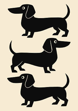 Three Black Dachshunds in a Row