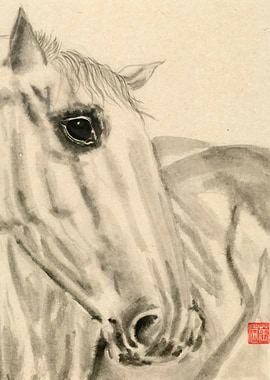Ink Painting of a Horse's Face