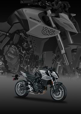 Suzuki GSX-8S Motorcycle